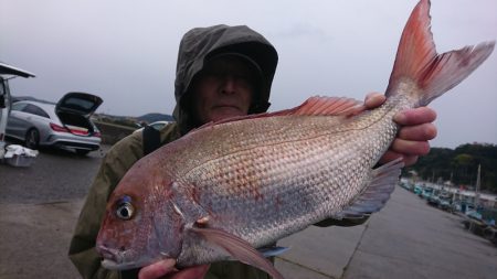 第三共栄丸 釣果