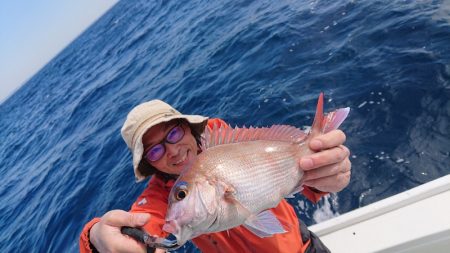 だて丸 釣果