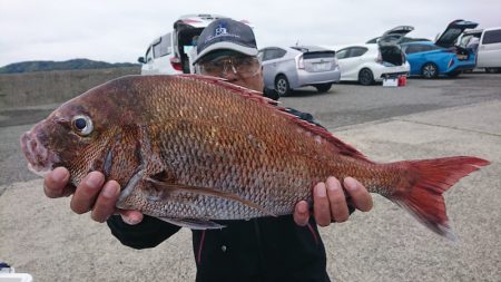 第三共栄丸 釣果