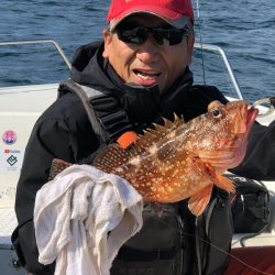 「LaGooN」蒼陽丸 日和号　 釣果