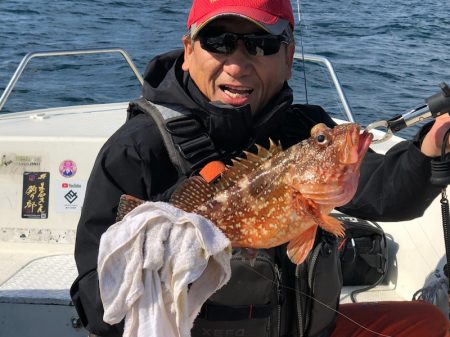 「LaGooN」蒼陽丸 日和号　 釣果