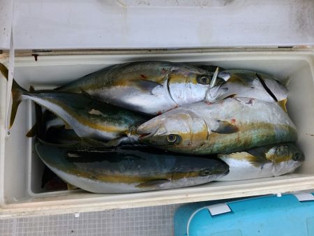 bay style 釣果