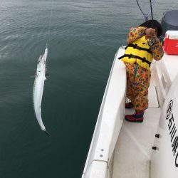 うさぎ丸 釣果