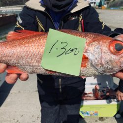 ぽん助丸 釣果