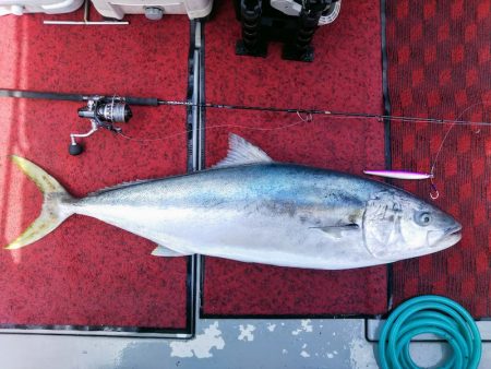 光生丸 釣果