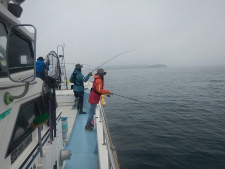 きずなまりん 釣果