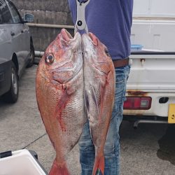 だて丸 釣果