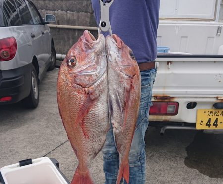 だて丸 釣果