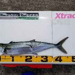 現在の神戸沖堤防。実釣と周辺確認分踏まえて。