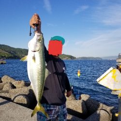 小島漁港 サビキ 陸っぱり 釣り 魚釣り 釣果情報サイト カンパリ