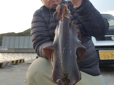 アオリイカ 浮き釣り