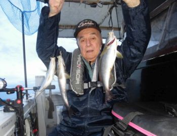 土佐安芸のハマちゃんの釣果