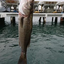 平成最後の釣行