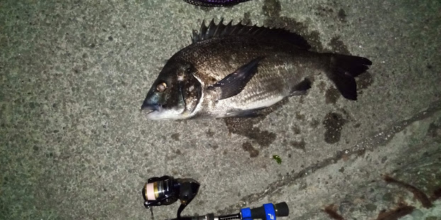 泉佐野コンビナート湾内