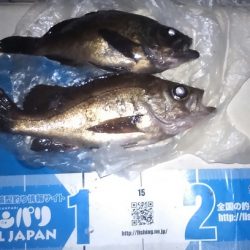 日をまたいでの梯子釣行