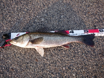 10連休で初の釣行