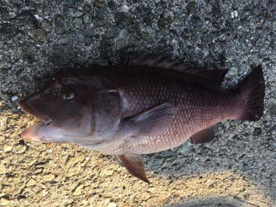 ポカポカ陽気でのんびりと