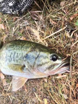 ちょこっと釣り