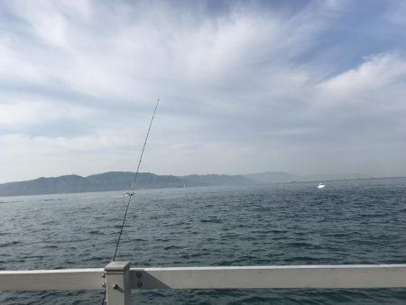 20センチ海タナゴ