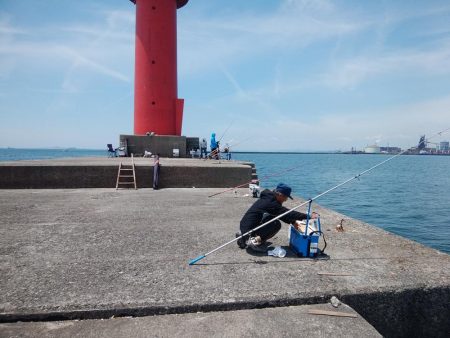 播磨新島のキス情報