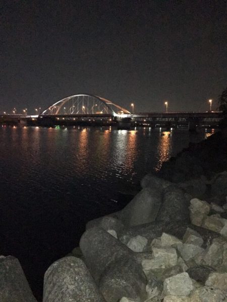 淀川のチニングに挑戦！