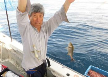 土佐安芸のハマちゃんの釣果