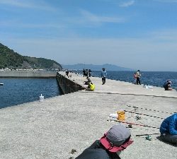 淡路島へコブダイ釣り