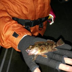 南港コスモスクエア　ヘチ釣りでまさかの！？