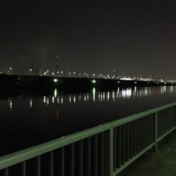 渋い〜浜寺水路