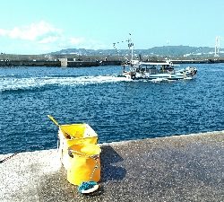 コブダイ釣りがぜんぜん当たりなし、五目釣りに。