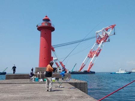 播磨新島のキス情報