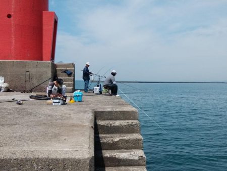 播磨新島で良型キスが釣れました