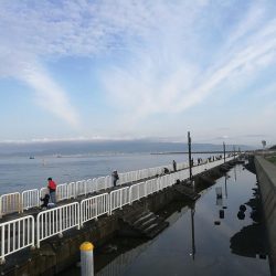 魚釣り園護岸 釣行 （GW10日目 根魚の釣果有り）