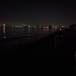 コスモ公園釣行 （夜釣行日和！キビレチヌ36cmとガシラ釣果！）