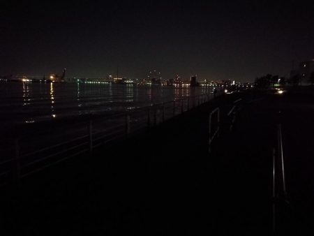 コスモ公園釣行 （夜釣行日和！キビレチヌ36cmとガシラ釣果！）