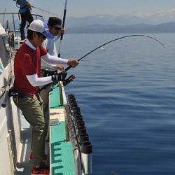 八海丸 釣果