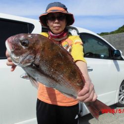 大進丸（新潟） 釣果