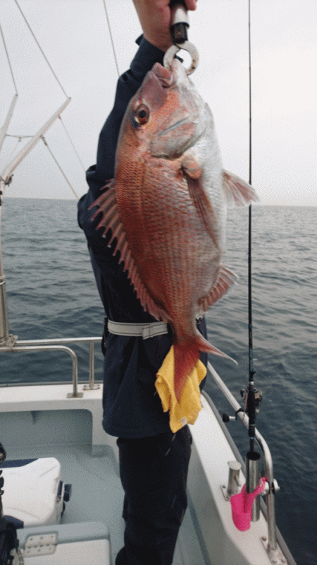 遊漁船ブルーウッズ 釣果