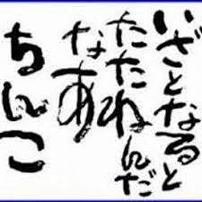 フィッシングボート空風（そらかぜ） 釣果