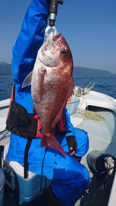 遊漁船ブルーウッズ 釣果