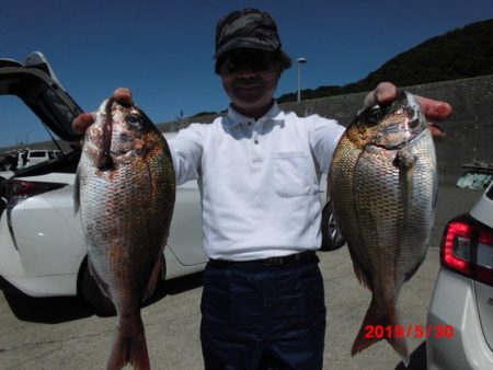 大進丸（新潟） 釣果