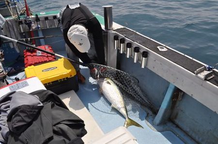 八海丸 釣果