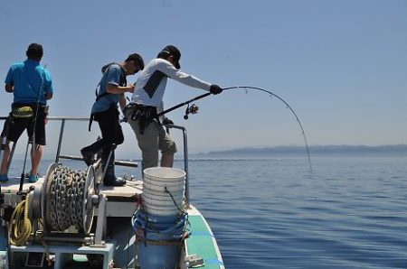 八海丸 釣果