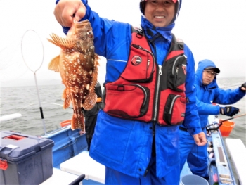 鯛紅丸 釣果