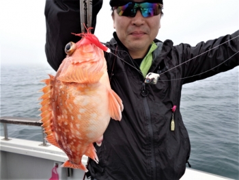 鯛紅丸 釣果