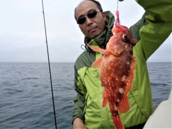 鯛紅丸 釣果