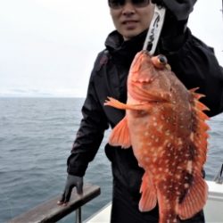 鯛紅丸 釣果