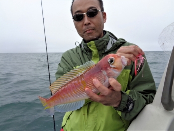 鯛紅丸 釣果