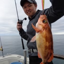 鯛紅丸 釣果