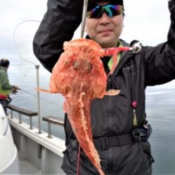 鯛紅丸 釣果